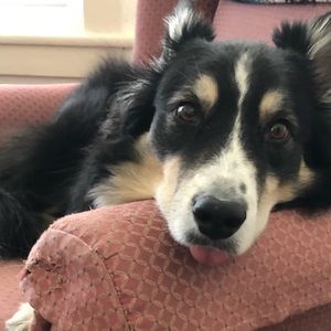 Meet your Posher, Shandra